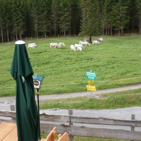 Gasthof Untere Valentinalm Hotel Plöcken Exterior foto