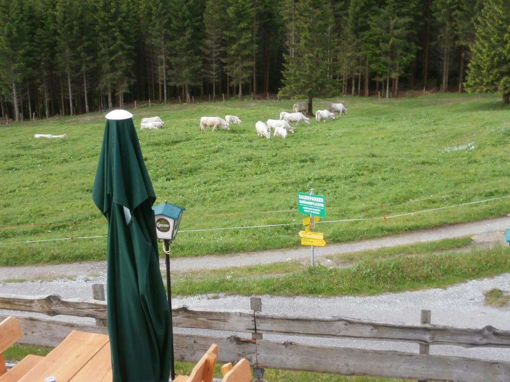 Gasthof Untere Valentinalm Hotel Plöcken Exterior foto